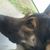 Eduardo Urbano's profile image