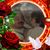 Tina Gibson's profile image