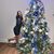 Marlen Peguero's profile image