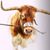Jesse Hernandez's profile image
