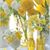 Caron Romaine-Fickling's profile image