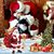 Anne OSullivan's profile image