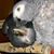 Sherry Kamhi's profile image