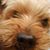 Patricia Faust's profile image