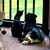 Licia Bleidner's profile image