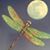 Sandy Van Syckel's profile image