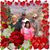 Christi Stotesbery's profile image