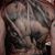Danny Jacunski's profile image