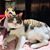 Suzie Stilz Belt's profile image