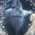 Timothy S. Brannan's profile image