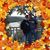 Carolyn Blair's profile image