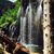 Holly Butefish's profile image