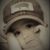 Bradley Hamilton's profile image