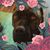 Lisa Weinstein Newbold's profile image