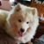 Stef Raber Parthemore's profile image