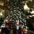 Cyndi M Santangelo LeCompte's profile image