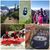 Mandy Girven's profile image