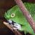 Barb Grajewski's profile image