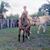 Carlos Gomes's profile image