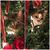 Kathleen Newbrough's profile image