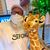 Rod Staley's profile image