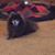 Judy Bailey Bubenheim's profile image