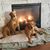 Janet Suiter McGough's profile image