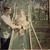 Denise Zink McMahel's profile image