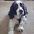 Sharon Harworth Wade's profile image