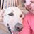 Becky Zaleski's profile image