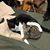 Marsha Glasow's profile image