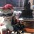 Angie Tucker's profile image