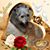Sue Deshotels Seal's profile image