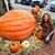 Wendy Wincele Frank's profile image