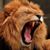 Elvin Eduardo's profile image