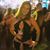 Vanessa Santos's profile image
