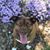 Dustin Overschmidt's profile image