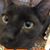 Bob Wright's profile image