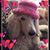 Jayne Ashton's profile image