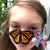 Katie Havens's profile image