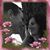 Betty Harris's profile image