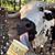 Michelle McEntire's profile image