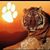 Jessie Daniels's profile image