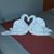 Mil Amores's profile image