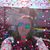 Allison Reyes's profile image