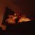 Mike Zopf's profile image