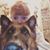 Danni Cram's profile image