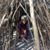 Ruth Rauch's profile image