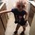 Bean Fincham's profile image