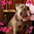 Suzanne Metzger's profile image